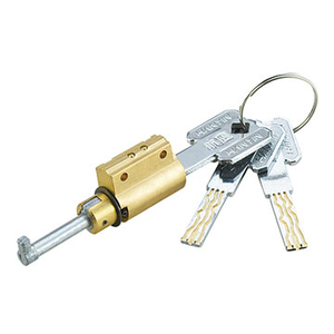 门业图片-锁芯系列锁芯系列 2号电子锁芯锁芯系列图片